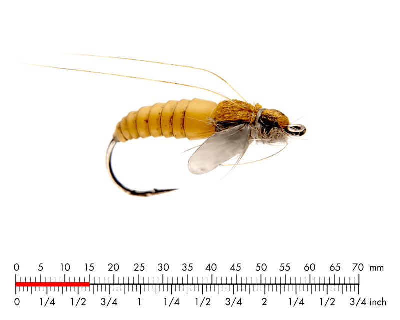 J:son Caddis Pupa Yellow_2