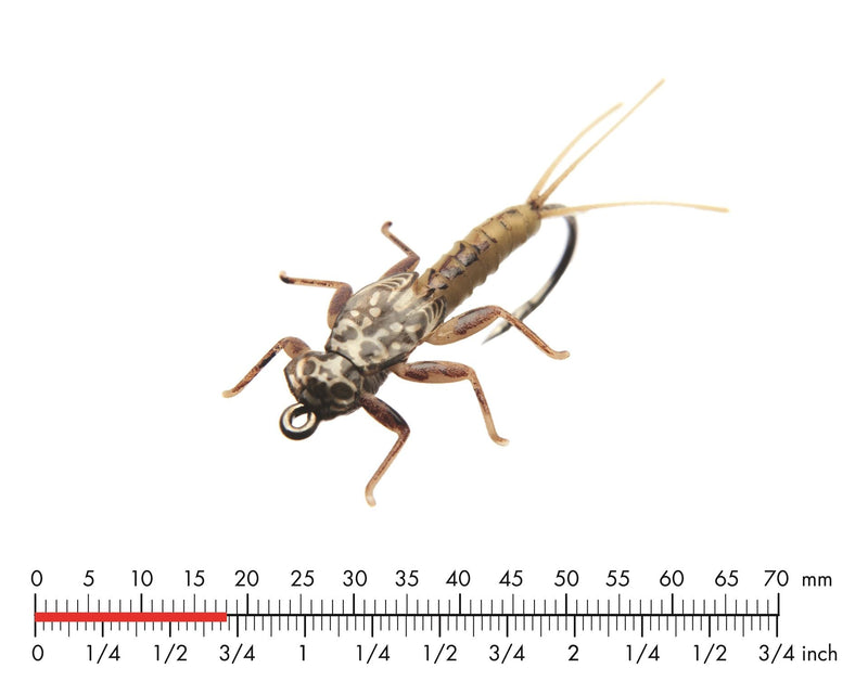 J:son Mayfly Nymph Sulphur_1