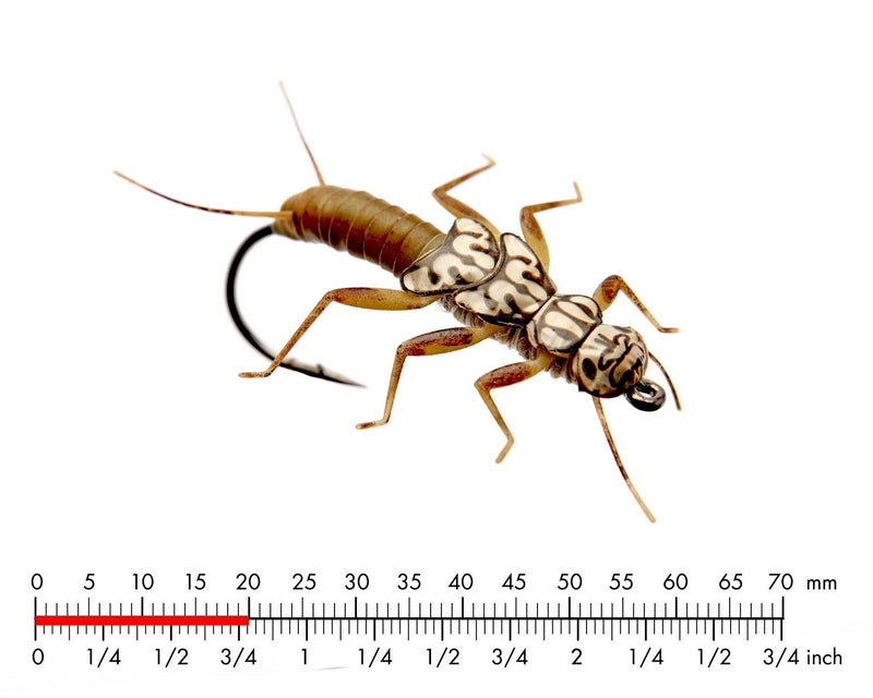 J:son Stonefly Nymph Olive Brown_3