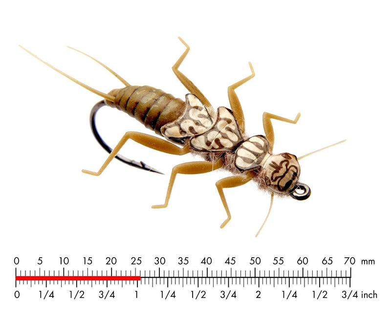 J:son Stonefly Nymph Olive Brown_2