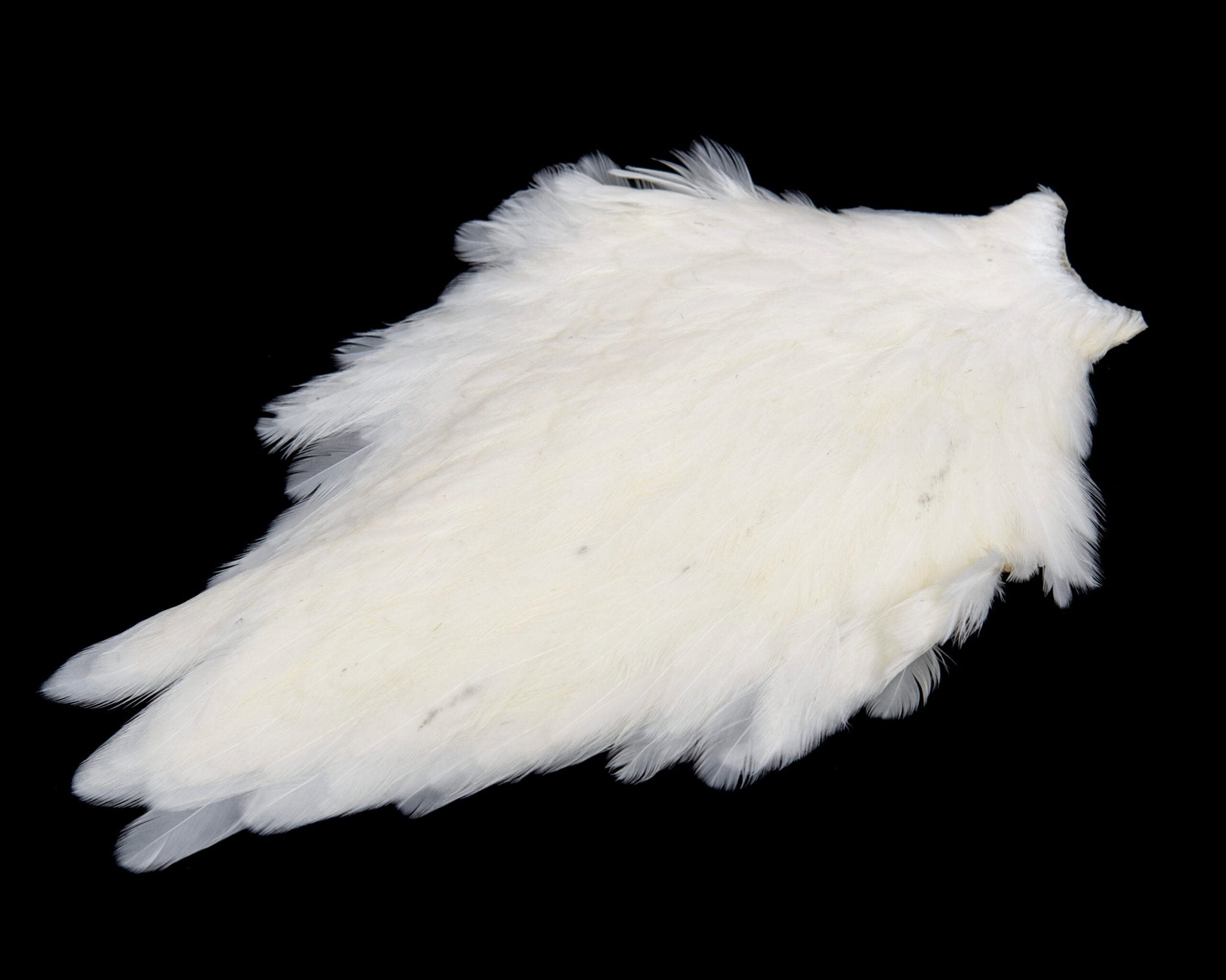 Whiting American Hen Cape_15